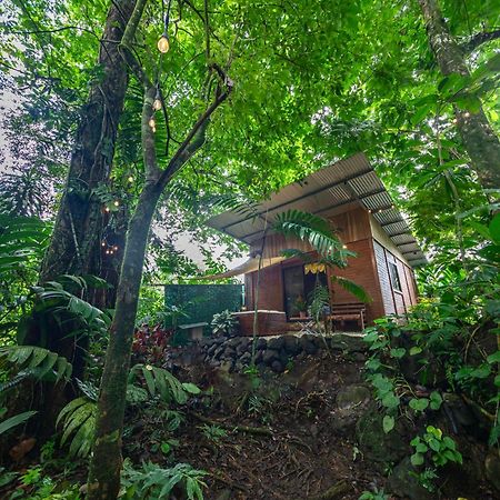 Апартаменты The Frog House Ла Фортуна Экстерьер фото