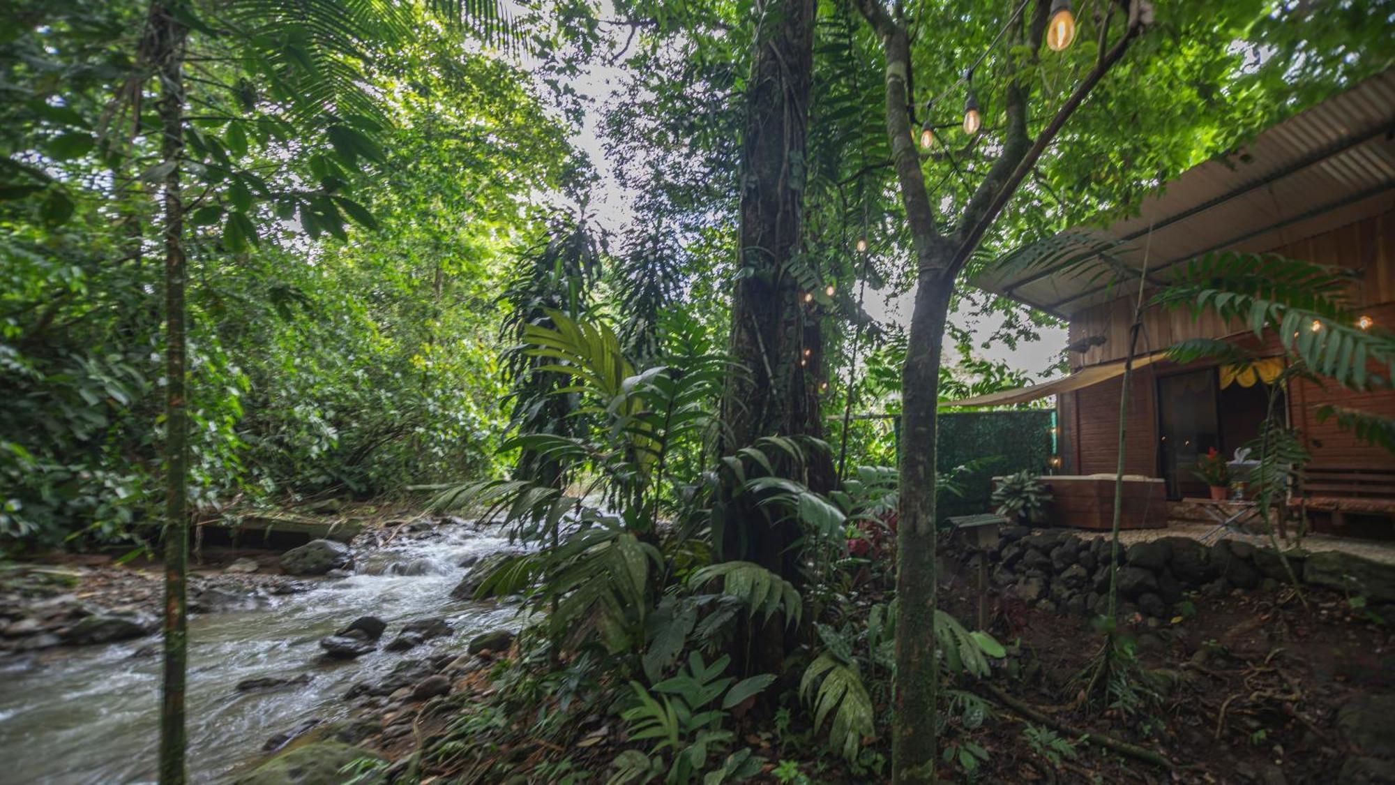 Апартаменты The Frog House Ла Фортуна Экстерьер фото