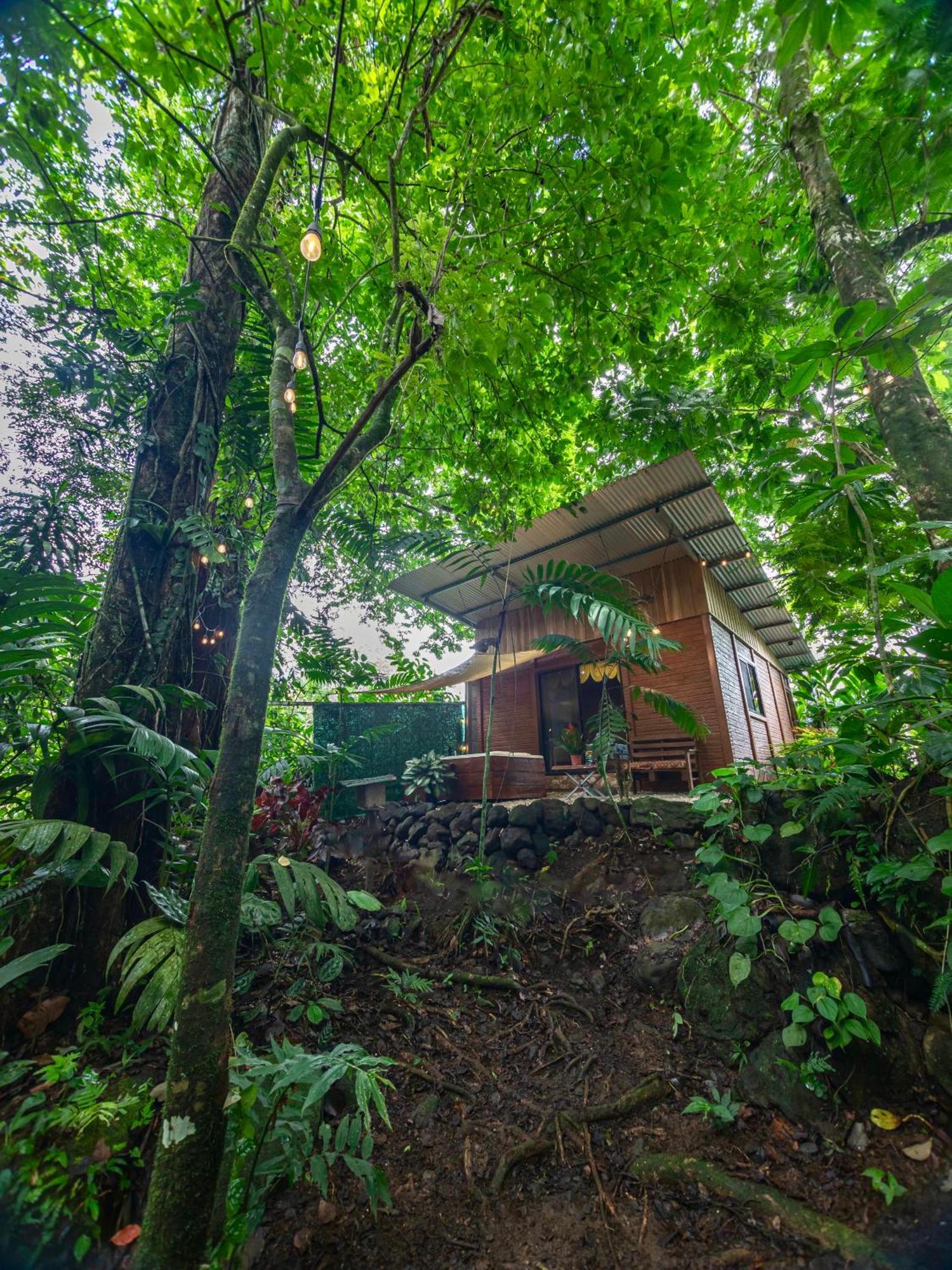 Апартаменты The Frog House Ла Фортуна Экстерьер фото